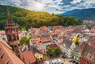 freiburg clt holzbau waldexbau